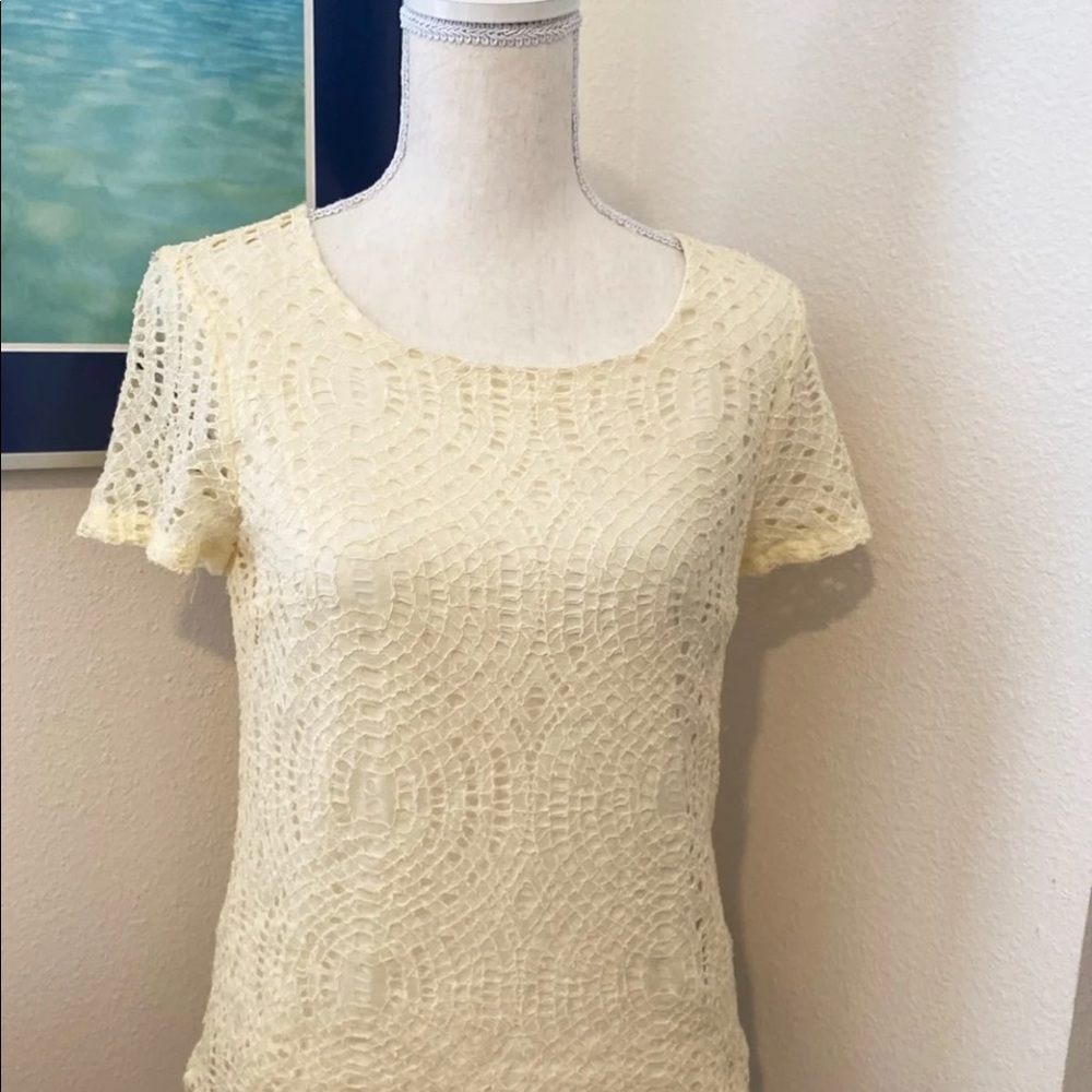 JCrew Ivory dyecut print lace like short